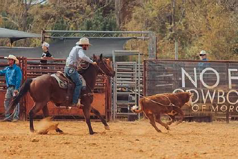 Screenshot 2025-11-11 at 2.08.51 PM